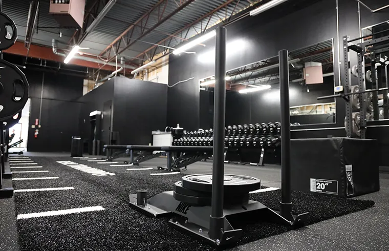 training-options-accountability